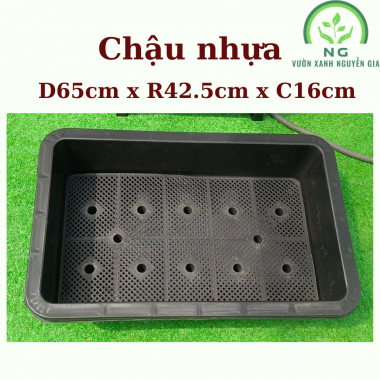 Chậu Trồng Rau D65 × R42.5 x C16cm