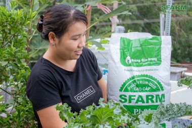 Phân trùn quế Sfarm đã qua xử lý Bịch 2kg