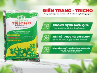 Nấm TRICHODERMA Cao Cấp Điền Trang Gói 500gr