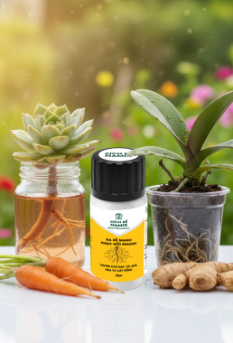Phân bón siêu kích rễ, phục hồi cây namix chai 20ml