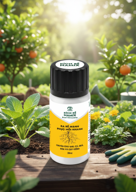 Phân bón siêu kích rễ, phục hồi cây namix chai 20ml