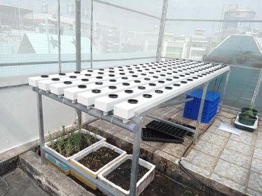 Ống trồng rau thuỷ canh 2 lớp 60x100mm