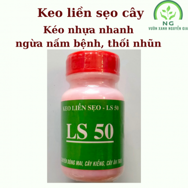 Keo liền sẹo cây LS50 100g