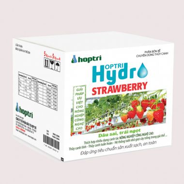 Phân bón dâu tây Hợp Trí Hydro Strawberry 1kg