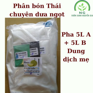 Phân Bón Thủy Canh Thái Lan Trồng Dưa Lưới
