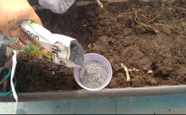 Nấm đối kháng Trichoderma ủ phân, xử lí đất 1kg