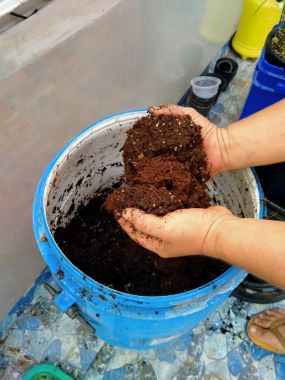 Nấm Trichoderma Sfarm ủ phân, xử lí đất 1kg