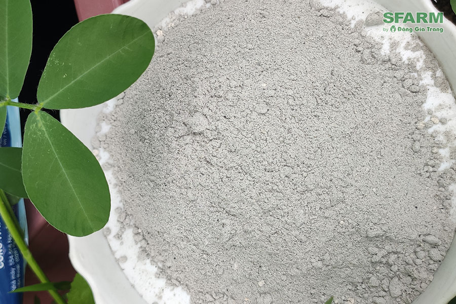 trichoderma sfarm