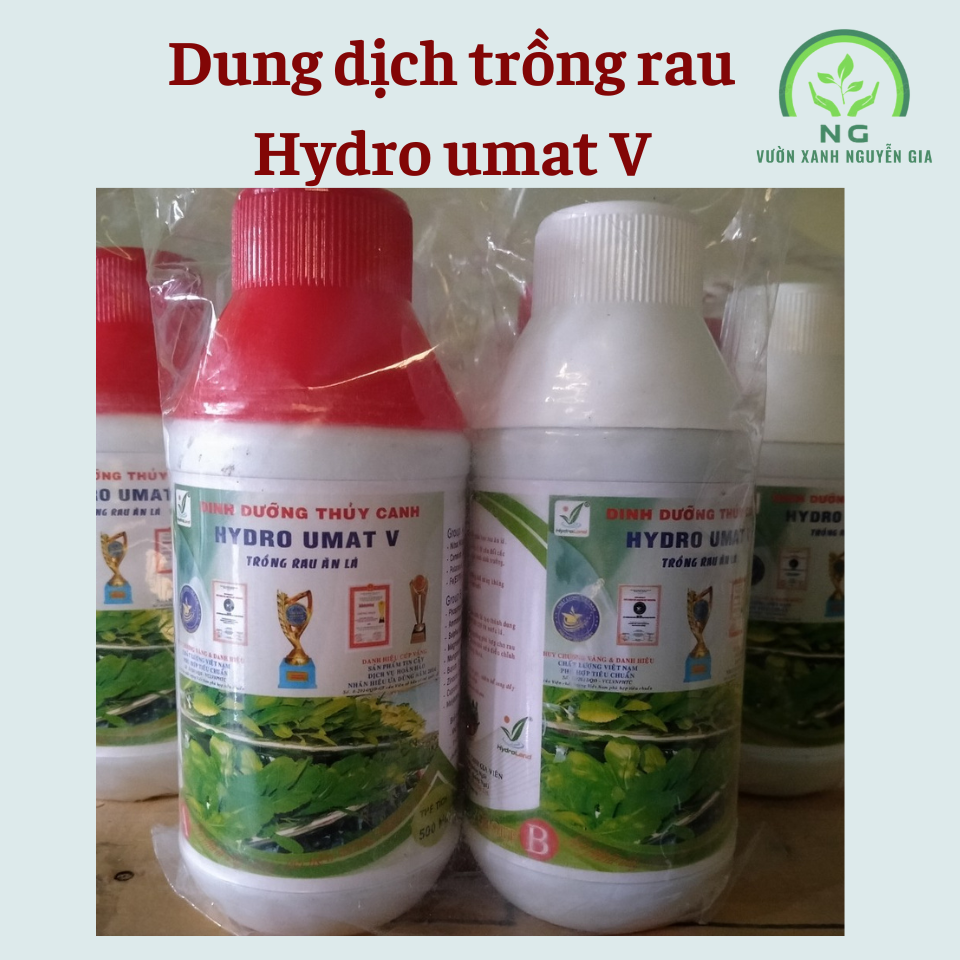 Hạt giống tỏi tây (hành Boa rô) Phú Nông gói 2gr