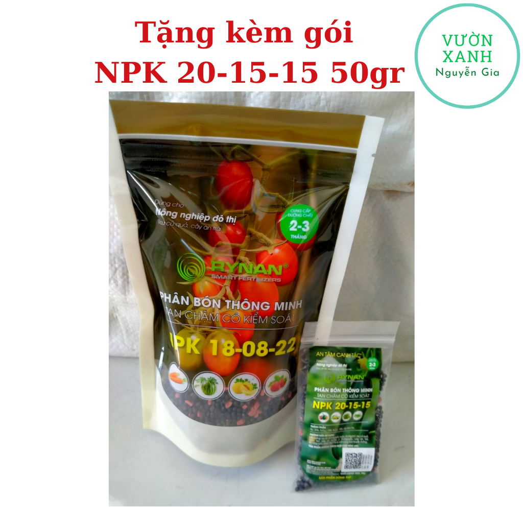 Phân bón tan chậm RYNAN NPK 18-08-22 cho các loại củ quả vị ngọt