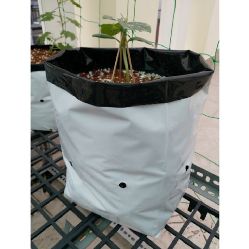 Túi PE R20 x C40cm trồng dưa lưới, cà chua…